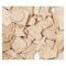 Creativity Street Wood Shapes, Natural Colored, Assorted Shapes, PK1000 PAC3700-01 - alternate 2
